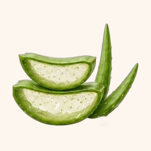 Aloe vera